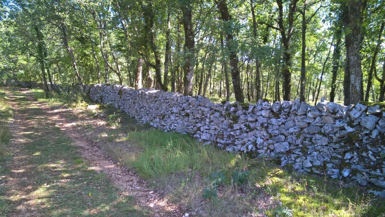 Maison Les Fraysses Bellefont-la Rauze Eksteriør bilde